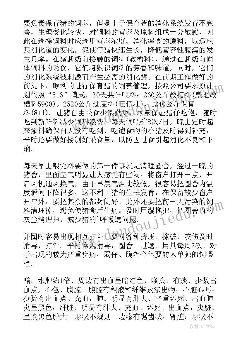 2023年猪场育种部做的 猪场工作总结(大全5篇)