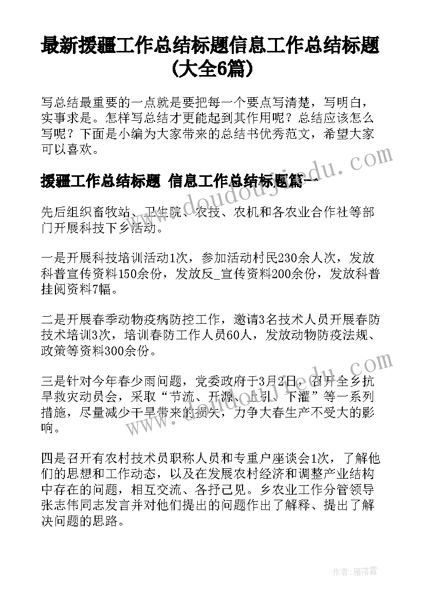 最新援疆工作总结标题 信息工作总结标题(大全6篇)