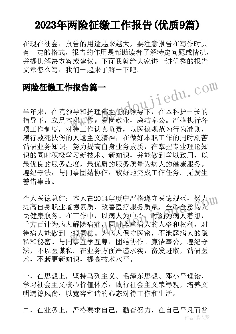 2023年两险征缴工作报告(优质9篇)