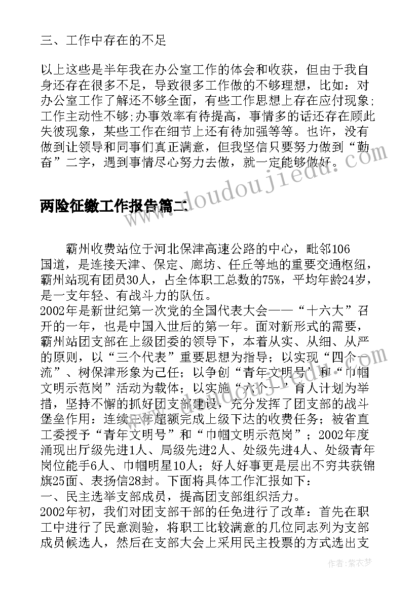 2023年两险征缴工作报告(优质9篇)