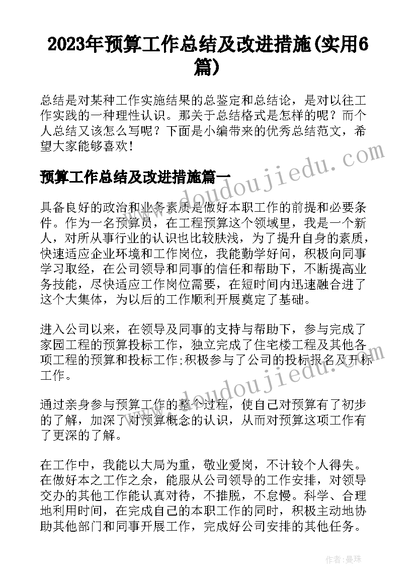 2023年预算工作总结及改进措施(实用6篇)