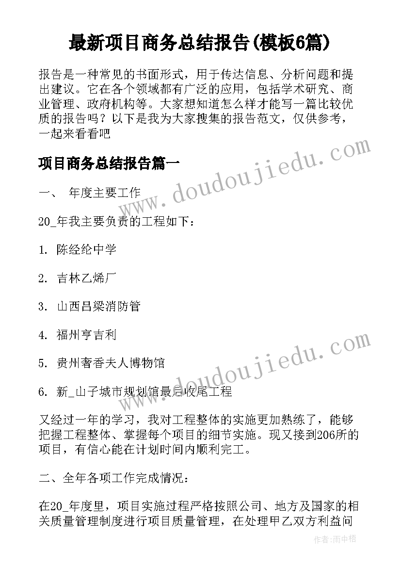 最新项目商务总结报告(模板6篇)