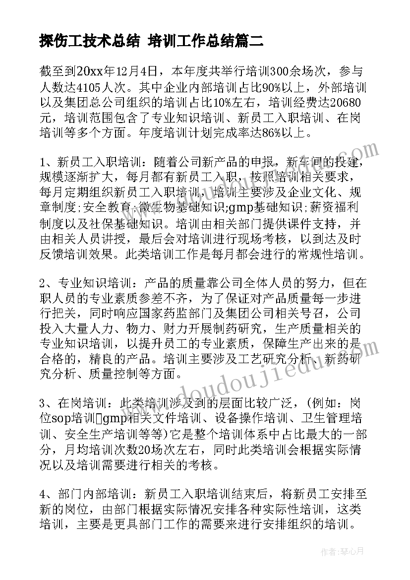 2023年探伤工技术总结 培训工作总结(优秀5篇)