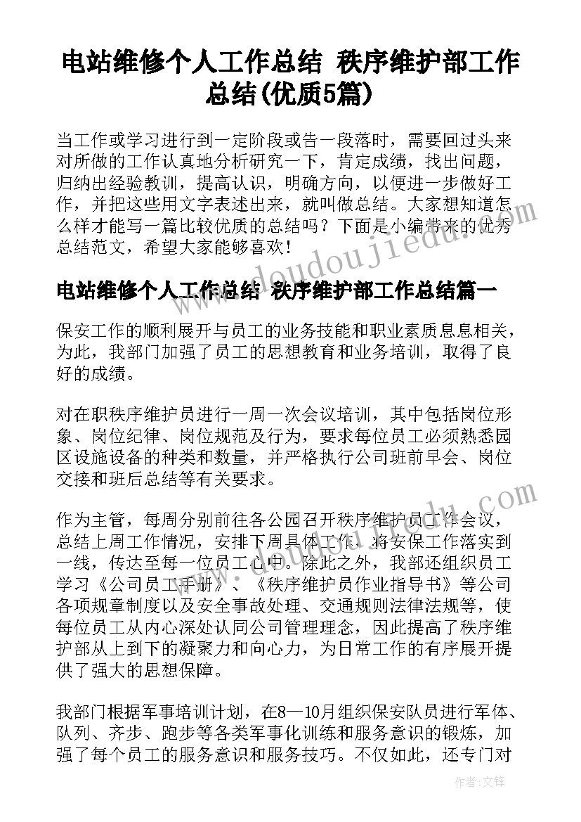 电站维修个人工作总结 秩序维护部工作总结(优质5篇)