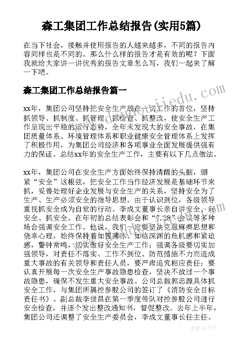 森工集团工作总结报告(实用5篇)