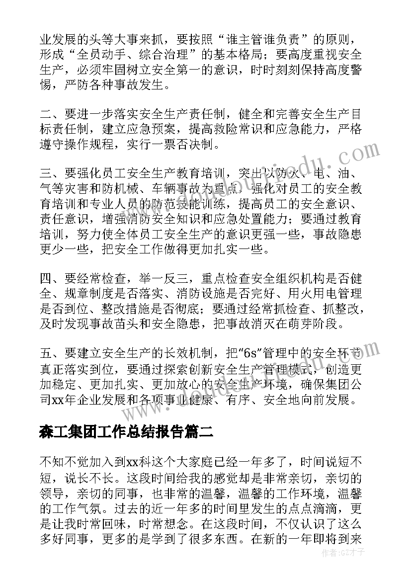 森工集团工作总结报告(实用5篇)