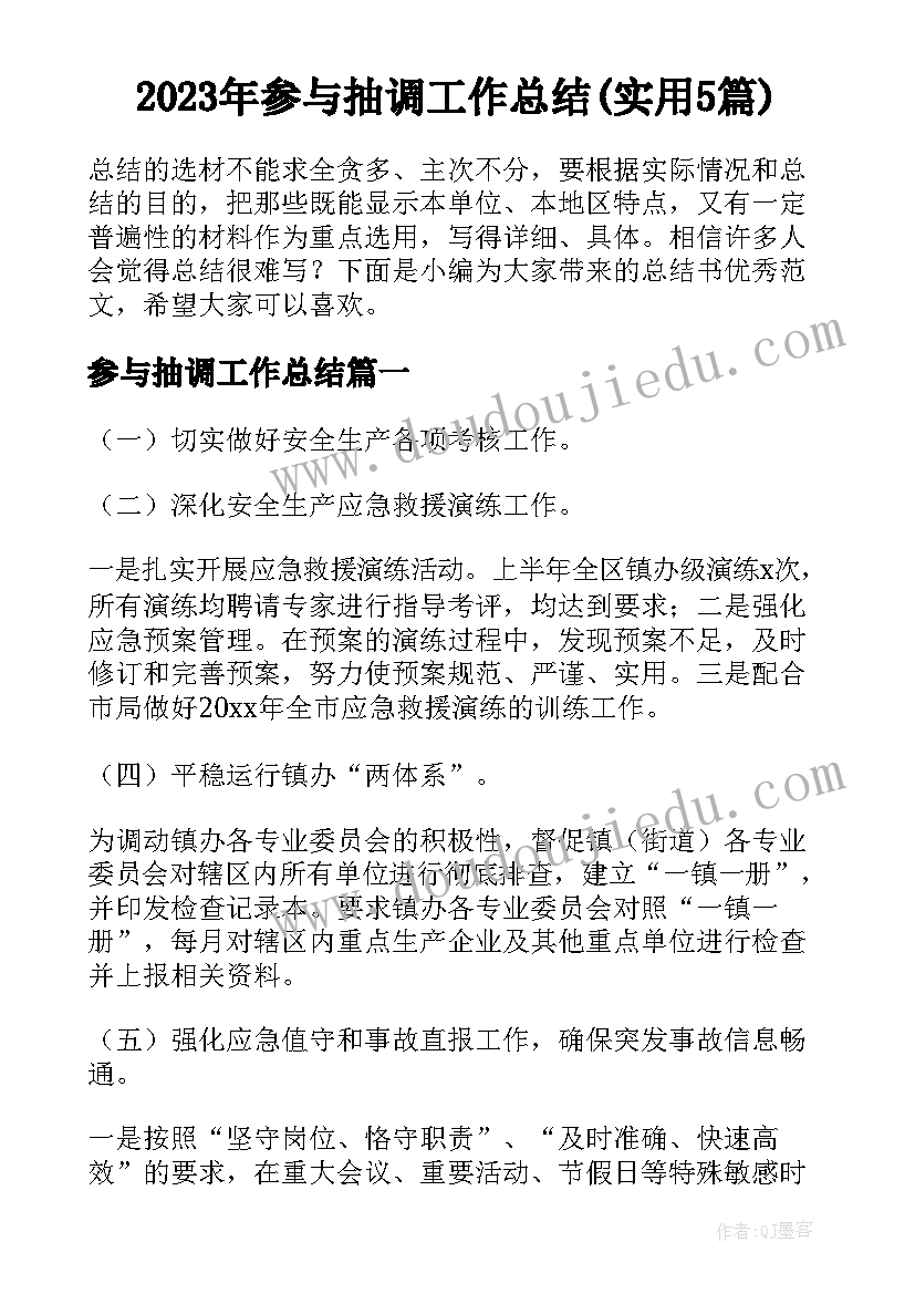 2023年参与抽调工作总结(实用5篇)