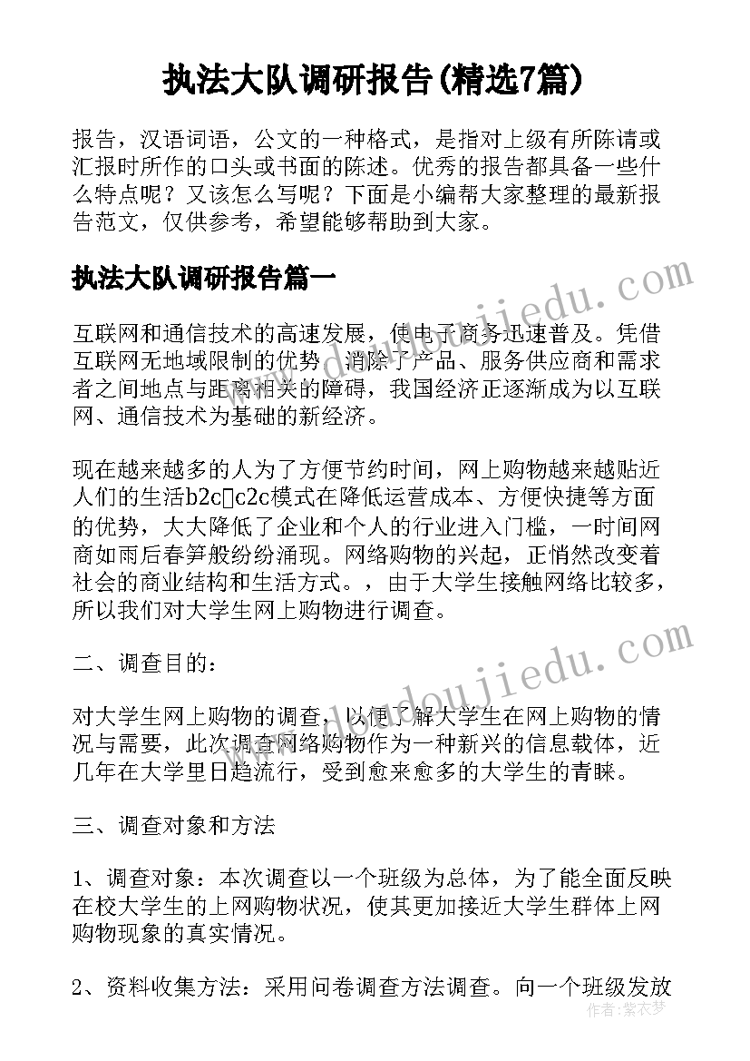 执法大队调研报告(精选7篇)