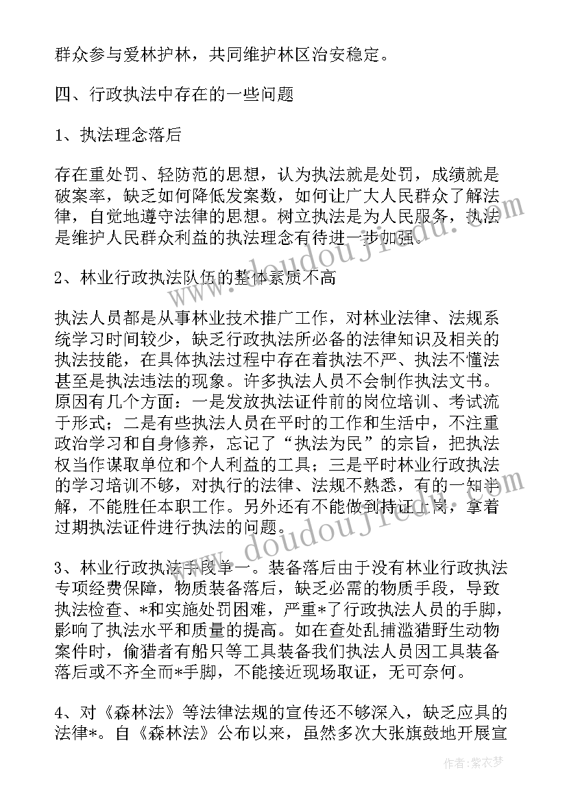 执法大队调研报告(精选7篇)