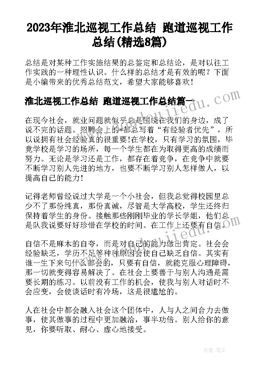 2023年淮北巡视工作总结 跑道巡视工作总结(精选8篇)