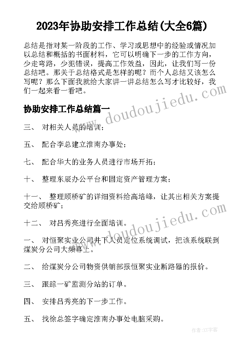 2023年协助安排工作总结(大全6篇)