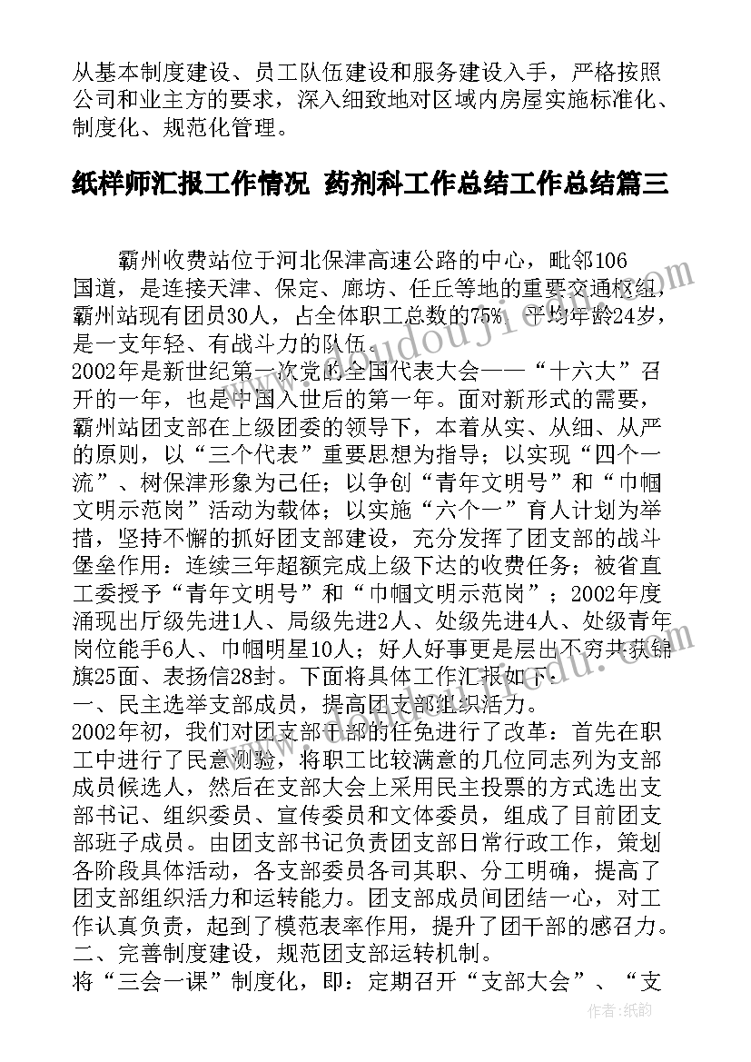 纸样师汇报工作情况 药剂科工作总结工作总结(优质6篇)