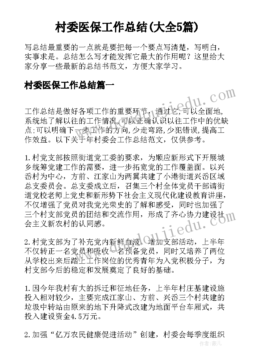 村委医保工作总结(大全5篇)