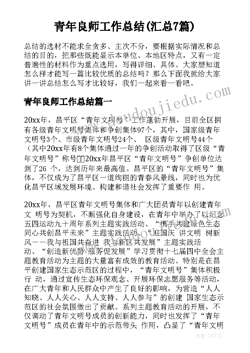 青年良师工作总结(汇总7篇)