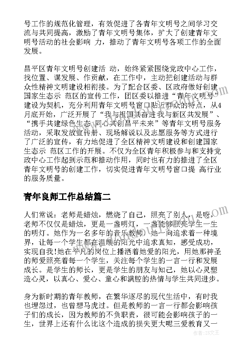 青年良师工作总结(汇总7篇)