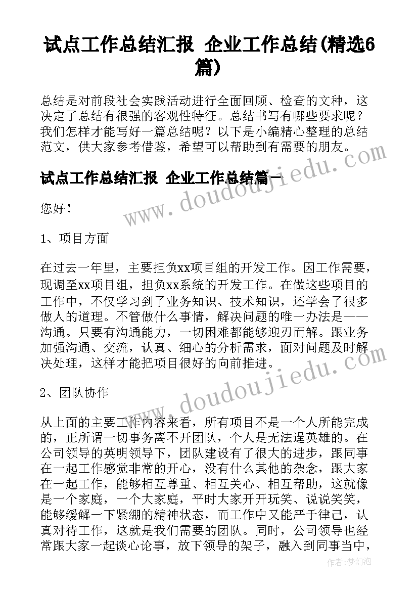 试点工作总结汇报 企业工作总结(精选6篇)