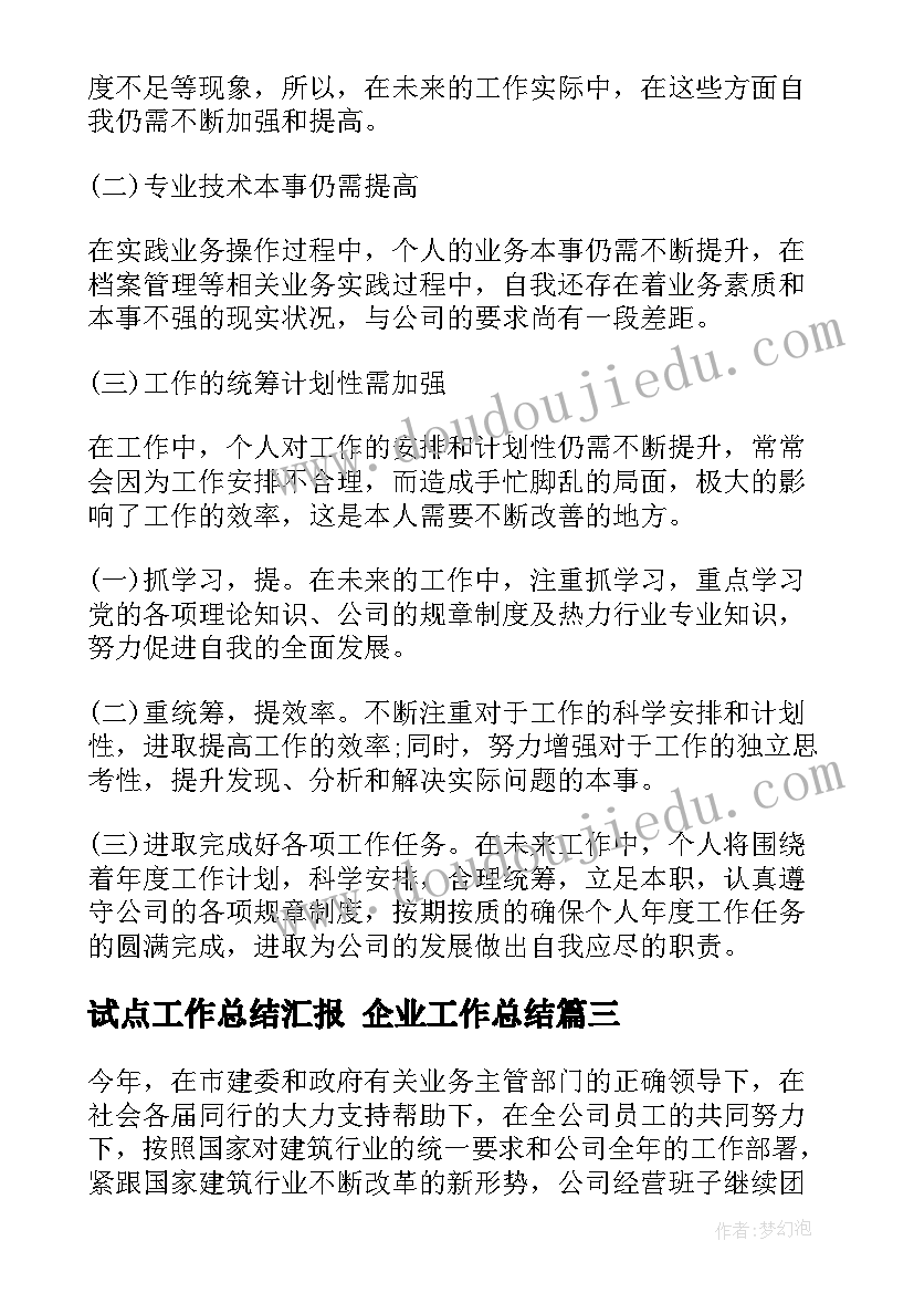 试点工作总结汇报 企业工作总结(精选6篇)