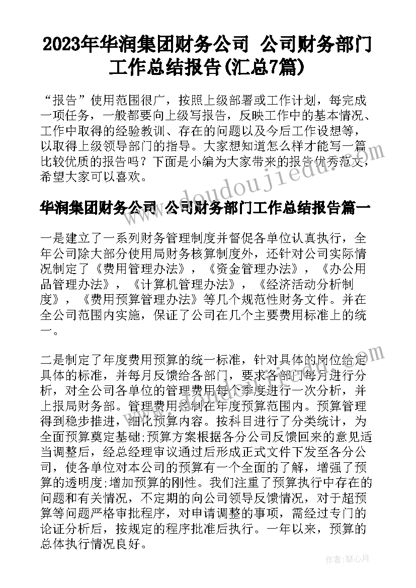 2023年华润集团财务公司 公司财务部门工作总结报告(汇总7篇)