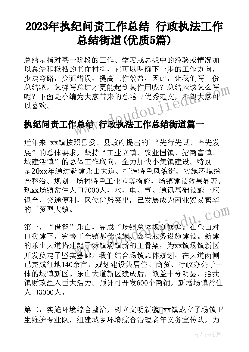 2023年执纪问责工作总结 行政执法工作总结街道(优质5篇)