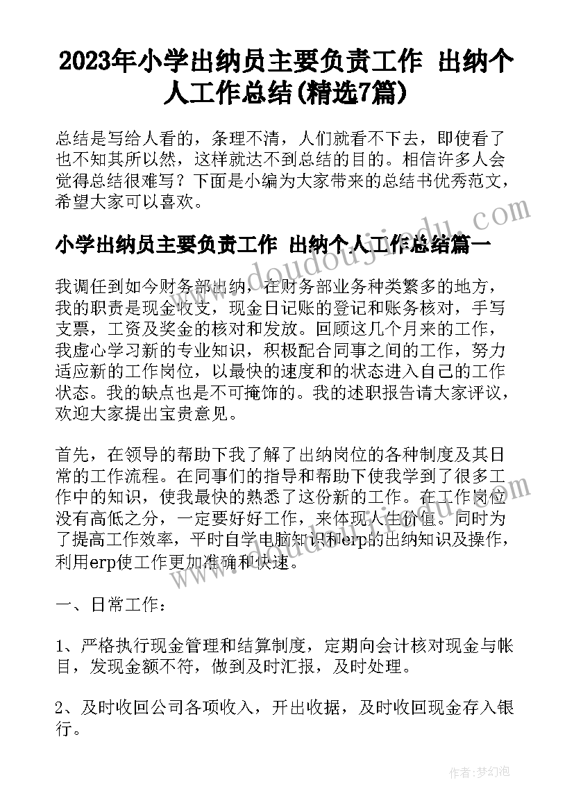 2023年小学出纳员主要负责工作 出纳个人工作总结(精选7篇)