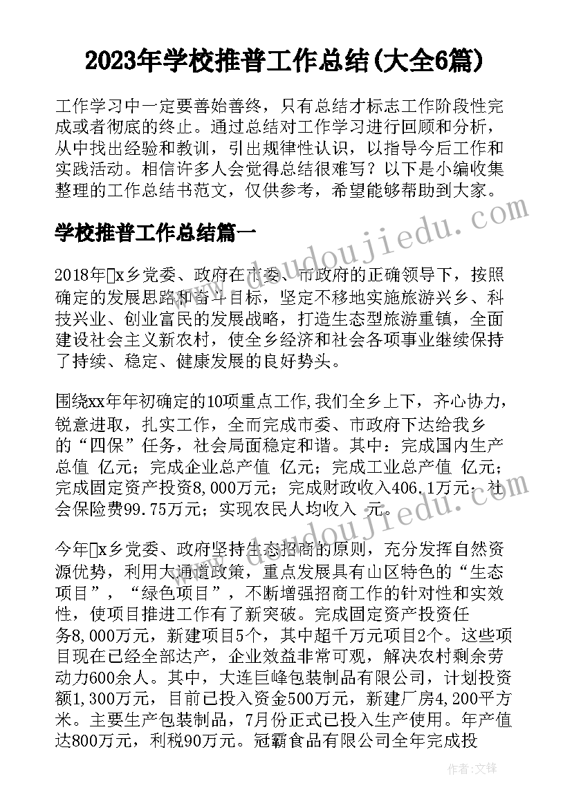 2023年学校推普工作总结(大全6篇)