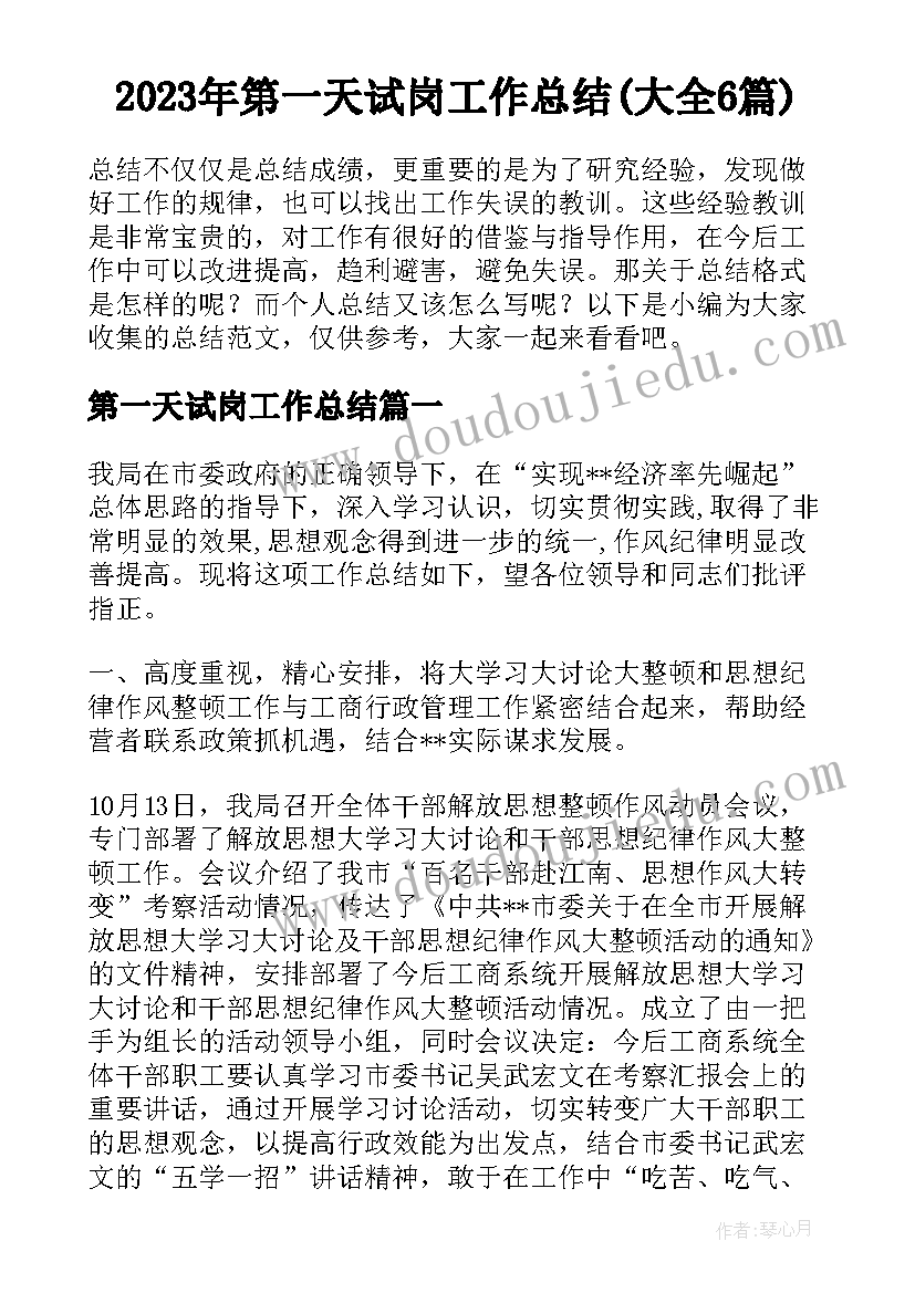 2023年第一天试岗工作总结(大全6篇)