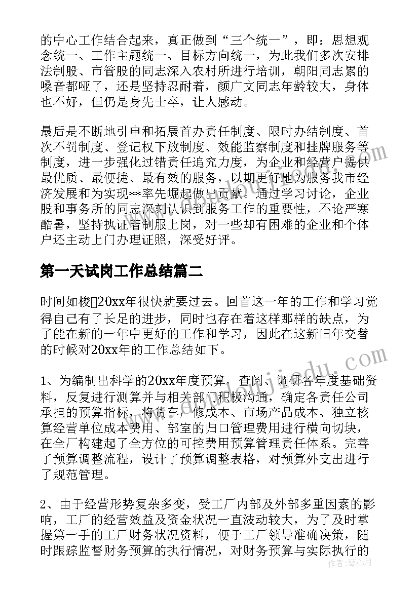 2023年第一天试岗工作总结(大全6篇)