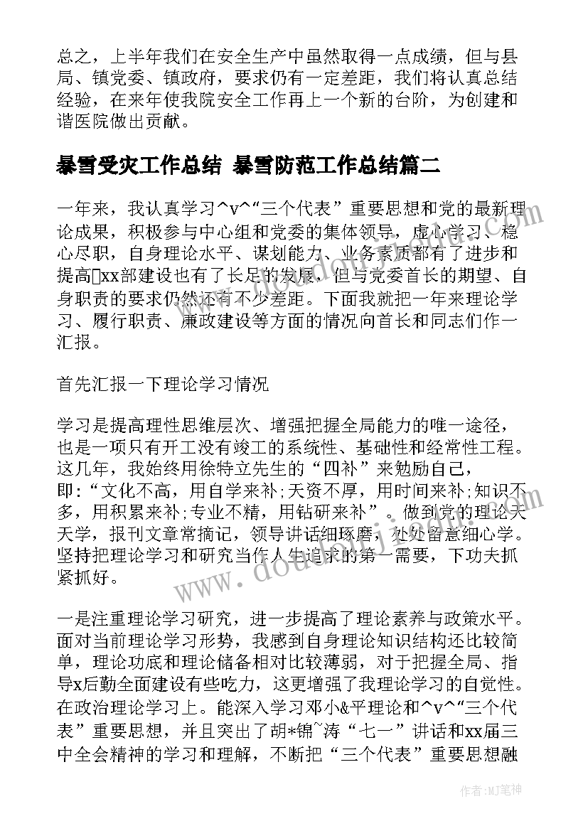 2023年暴雪受灾工作总结 暴雪防范工作总结(实用5篇)