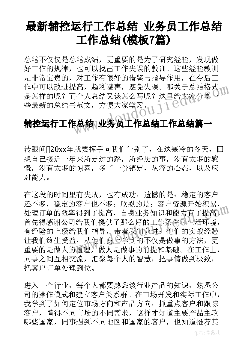 最新辅控运行工作总结 业务员工作总结工作总结(模板7篇)