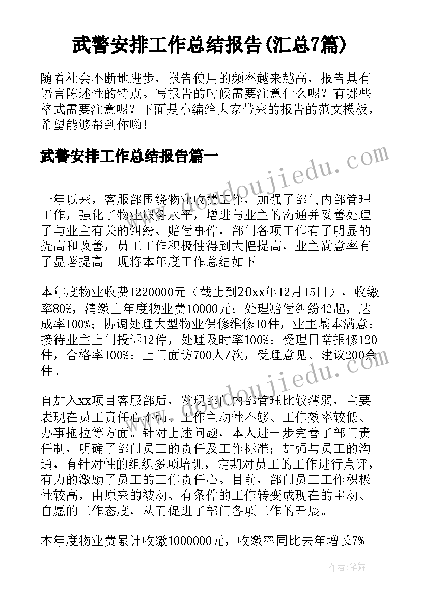 武警安排工作总结报告(汇总7篇)