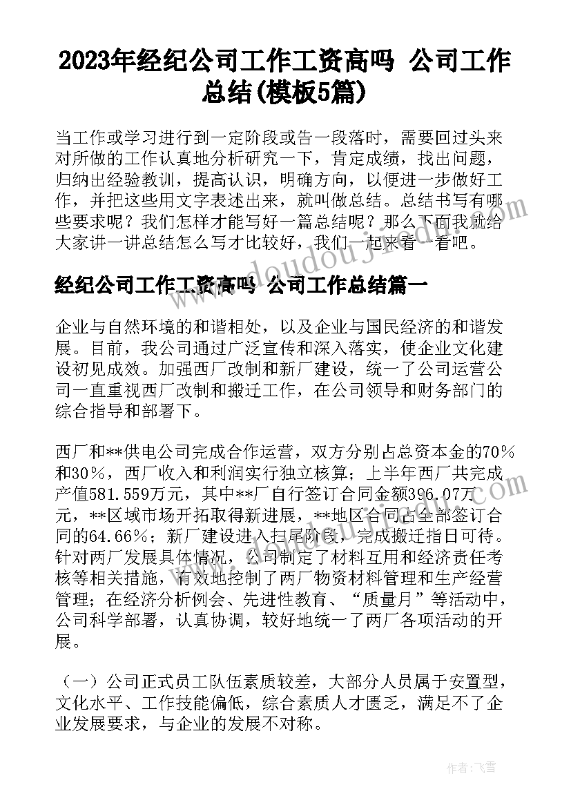 2023年经纪公司工作工资高吗 公司工作总结(模板5篇)