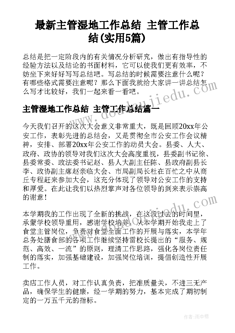 最新主管湿地工作总结 主管工作总结(实用5篇)