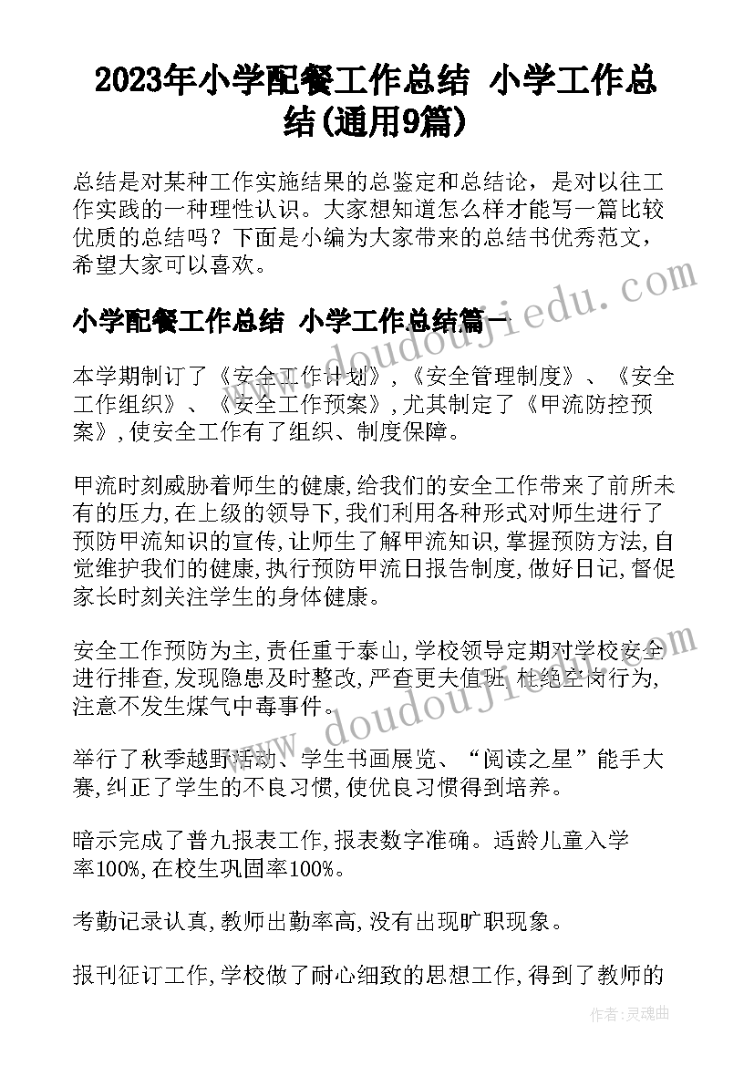 2023年小学配餐工作总结 小学工作总结(通用9篇)