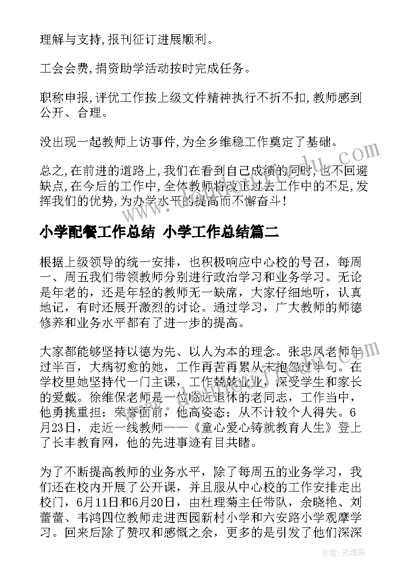 2023年小学配餐工作总结 小学工作总结(通用9篇)