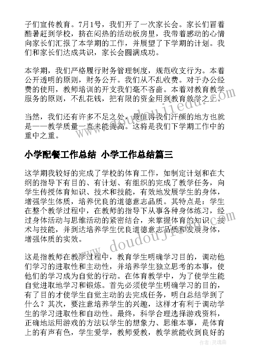 2023年小学配餐工作总结 小学工作总结(通用9篇)