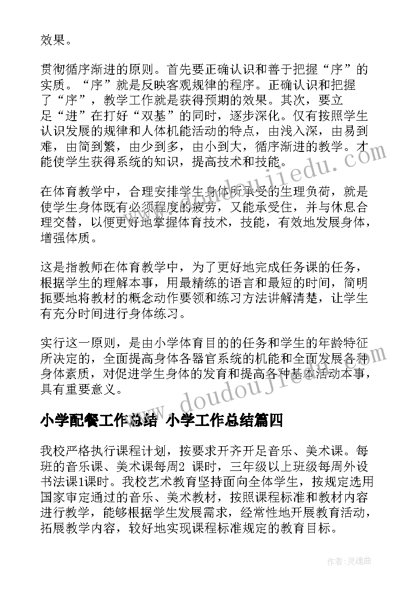 2023年小学配餐工作总结 小学工作总结(通用9篇)