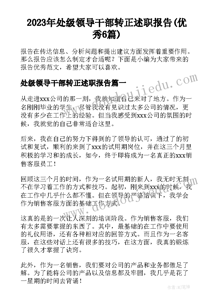 2023年处级领导干部转正述职报告(优秀6篇)