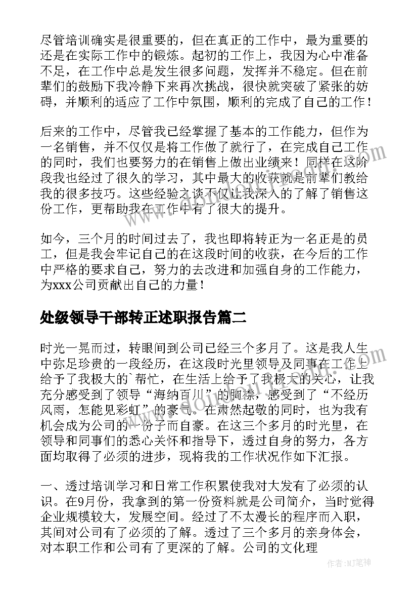 2023年处级领导干部转正述职报告(优秀6篇)