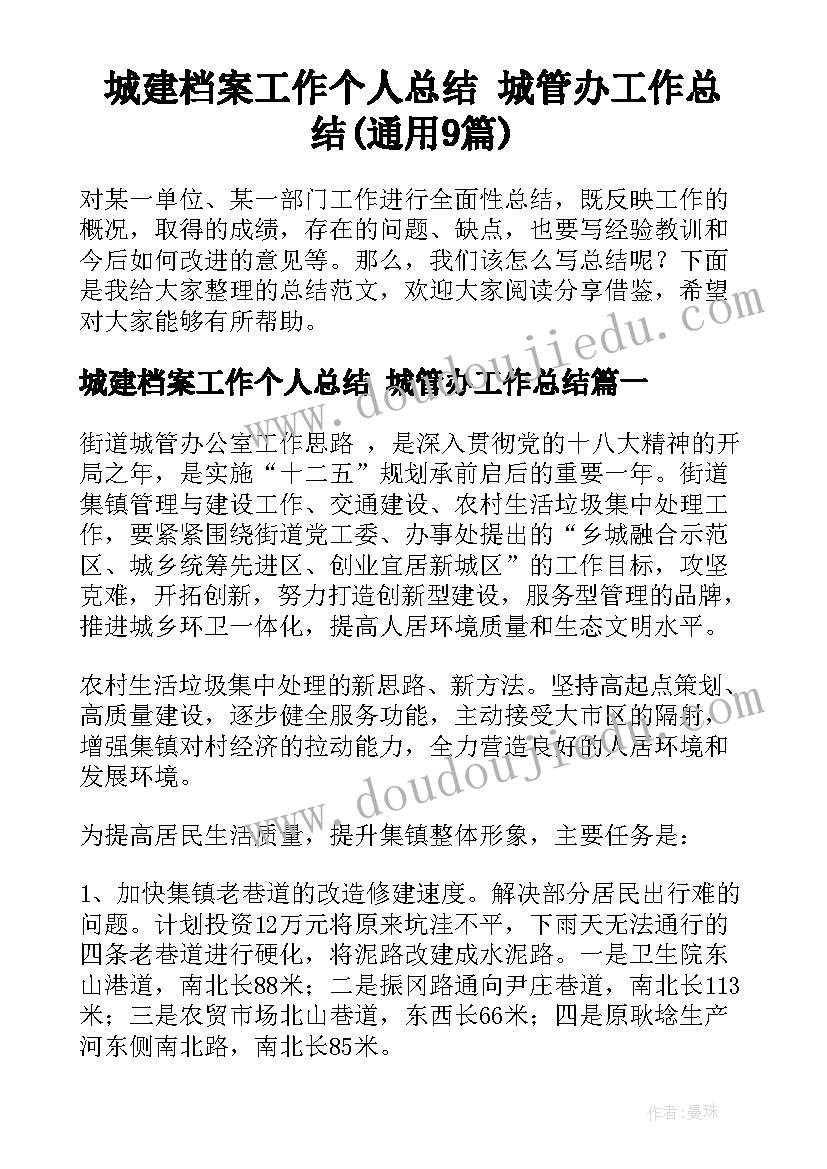 城建档案工作个人总结 城管办工作总结(通用9篇)