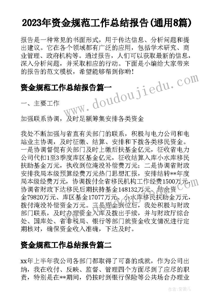 2023年资金规范工作总结报告(通用8篇)