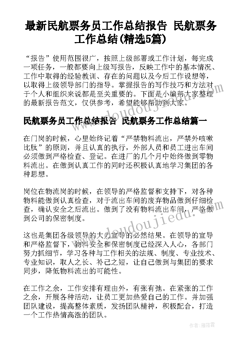 最新民航票务员工作总结报告 民航票务工作总结(精选5篇)