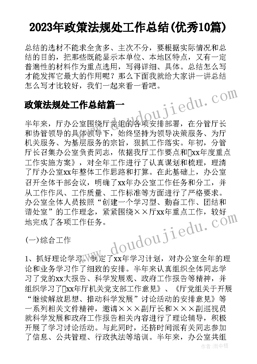 2023年政策法规处工作总结(优秀10篇)