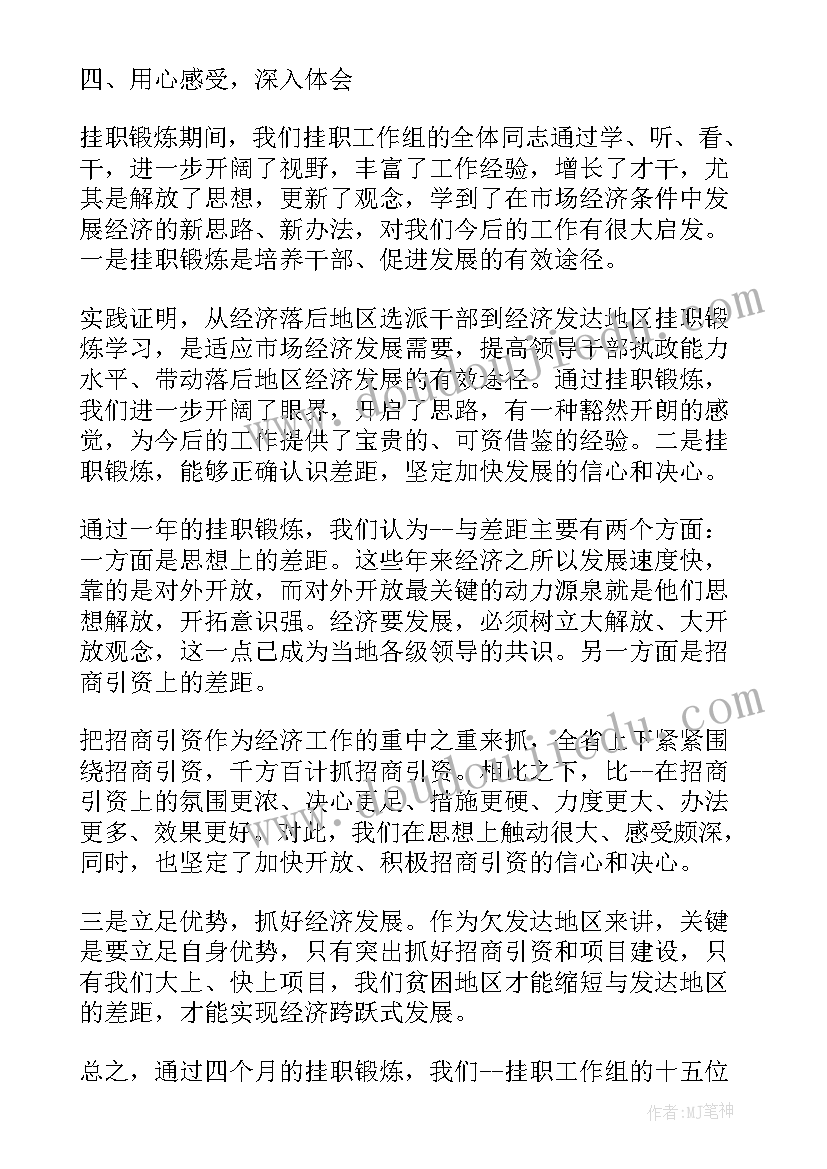 金融挂职干部工作总结(模板9篇)