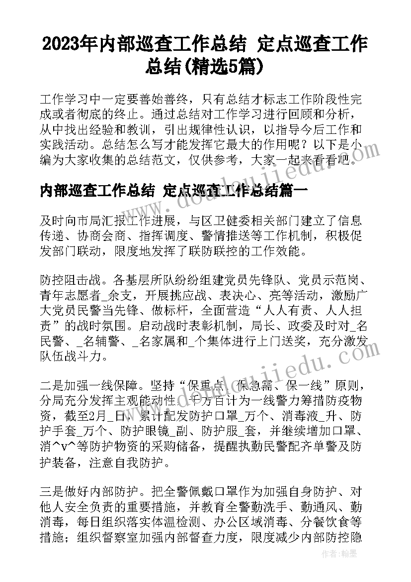 2023年内部巡查工作总结 定点巡查工作总结(精选5篇)