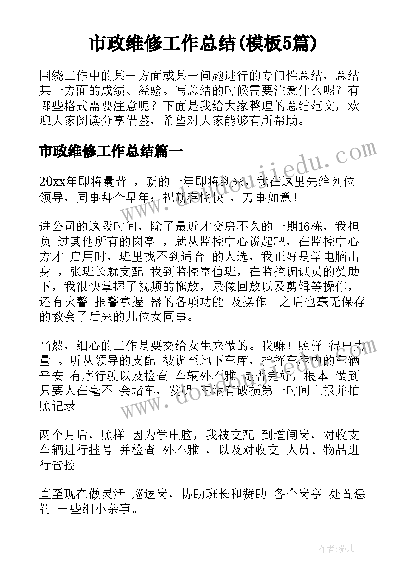 市政维修工作总结(模板5篇)