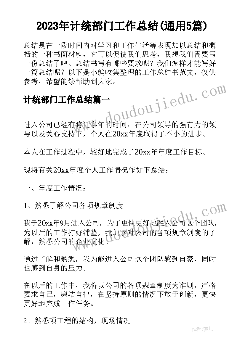 2023年计统部门工作总结(通用5篇)