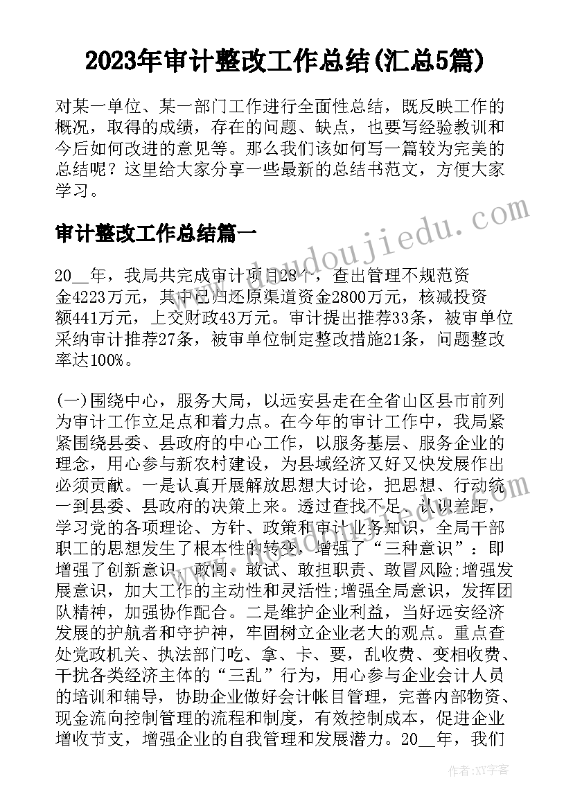 2023年审计整改工作总结(汇总5篇)