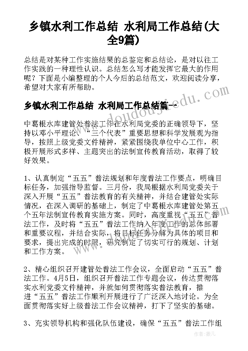 乡镇水利工作总结 水利局工作总结(大全9篇)