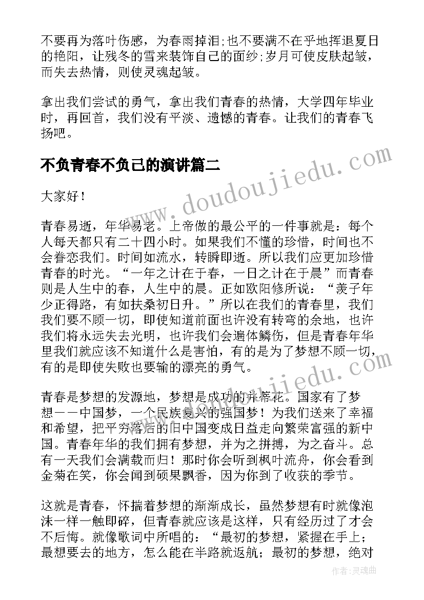 不负青春不负己的演讲 不负青春演讲稿(精选9篇)