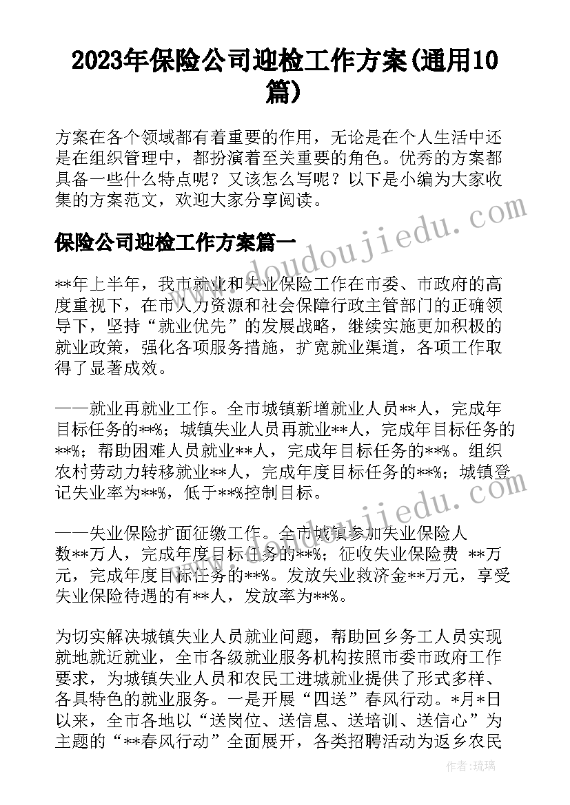 2023年保险公司迎检工作方案(通用10篇)